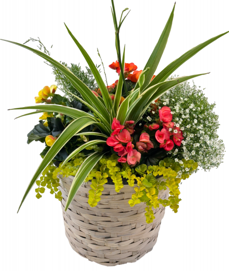 Summer Porch Planter