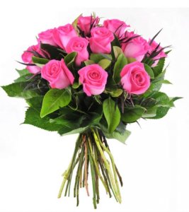 DOZEN HOT PINK ROSES HAND-TIED