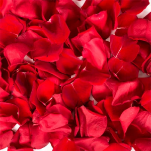 Rose Petals