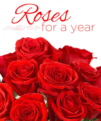 Roses For A Year