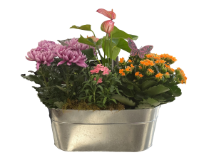 Mother's Day Planter