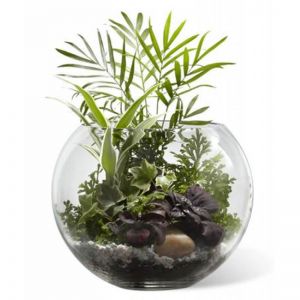 Woodland Greens Terrarium