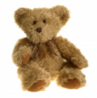 Plush Animal