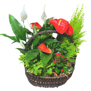 Extra Large Tropical Planter Basket