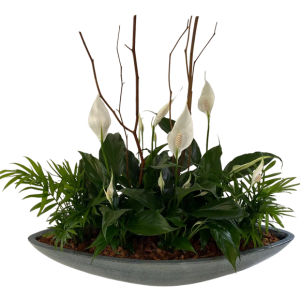 Peace Lily Boat