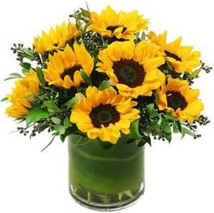 Sunflowers Delight