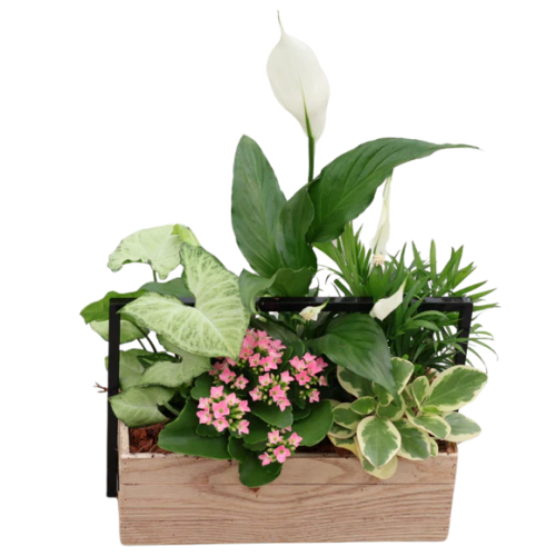 Nature Garden Crate