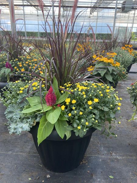 Autumn Outdoor Planter