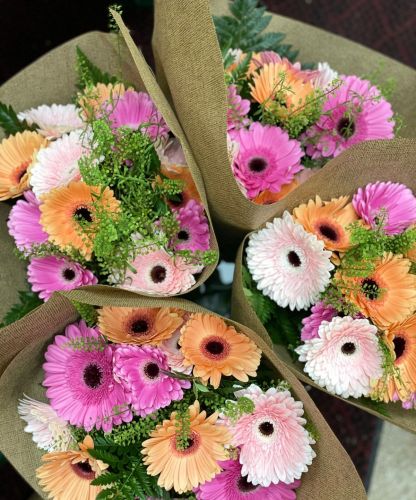 Dozen Mixed Gerberas Hand-Tied