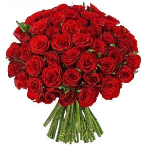 Fifty Long Stem Red Roses Hand Tied