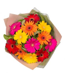 Dozen Mixed Gerberas Hand-Tied
