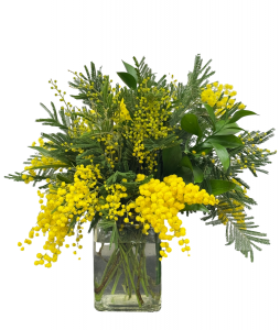 Mimosa Arrangement