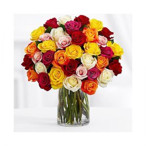 FIFTY COLOURED ROSES ARRANGED