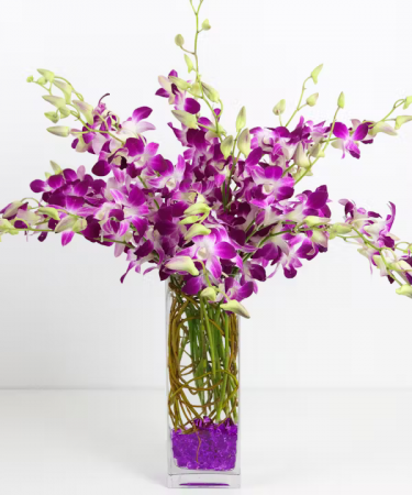 DENDROBIUM ORCHID VASE