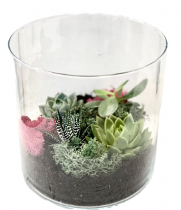 Summer Terrace Terrarium